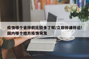 疫情哪个省停航比较多了呢/立即停课停运!国内哪个地方疫情突发
