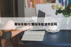 黄标车限行/黄标车能进市区吗