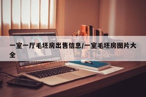 一室一厅毛坯房出售信息/一室毛坯房图片大全