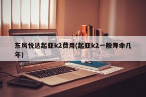 东风悦达起亚k2费用(起亚k2一般寿命几年)